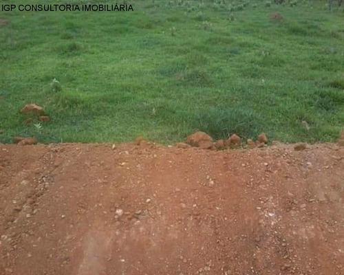 Imagem 2 de 7 de Terreno - Te02655 - 34888977