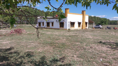 Imagen 3 de 26 de Vendo Chacra De 15 Has. Con Casa De Campo Muy Cerca Del Centro De Esquina, Corrientes!!!!!!