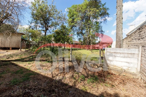 Imagem 30 de 30 de Terreno Em Barreirinha, Curitiba, Paraná - Te00033 - 33491718