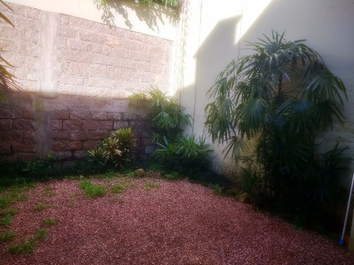 Casa Em Vila Conceição Com 3 Dormitórios - Mi16512