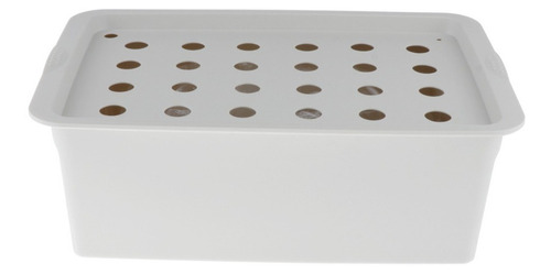 Caja De Semillas De Agua. Plantas Caseras Aerobio Gris