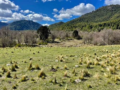 Terreno De 5.000 M2 Camino A Termas Malalcahuello