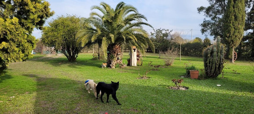 Imagen 23 de 30 de Quinta - Gualeguaychu