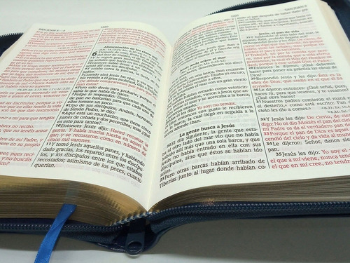 Imagen 5 de 8 de Biblia Estuche Azul Y Dorada Letra Grande Reina Valera 1960