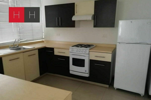 Imagen 7 de 15 de Departamento En Renta En Cd Judicial
