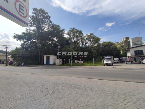 Imagem 13 de 13 de Ótimo Terreno Comercial /residencial No Bairro Velha Central - 3052462v