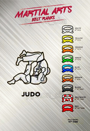 Pósters Aikido Capoeira Jiu Jitsu Judo Ju Jutsu - 42x30cm