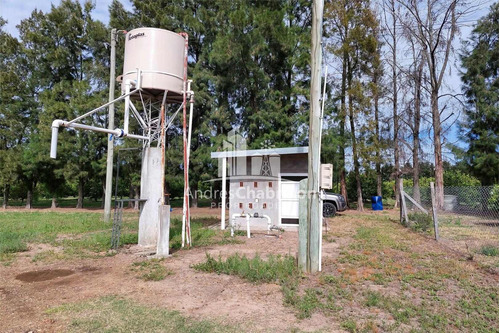 Imagen 13 de 15 de Campo En Venta De 20 Has. En Ruta Nacional 14