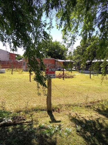Imagen 1 de 2 de Lote