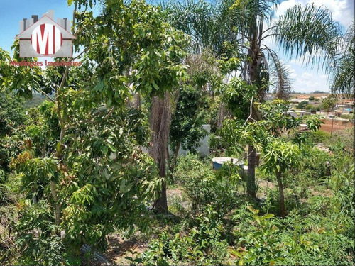 Belíssima Chácara Com 04 Dormitórios, Piscina, Internet À Cabo, Pomar, Próxima Da Cidade, À Venda, 1000 M² Por R$ 410.000 - Pinhalzinho/sp - Ch0806