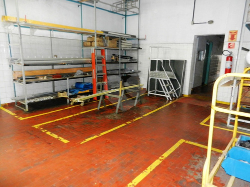 Imagem 9 de 22 de Comercial-são Paulo-santo Amaro | Ref.: Reo356489 - Reo356489