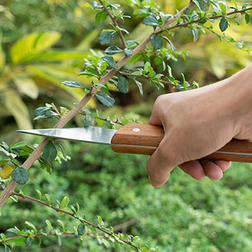 Cuchillos Para Injerto De Árboles Herramienta De Cuchillos D