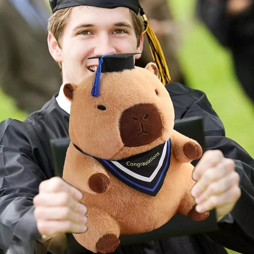 Muñeco De Peluche De Capibara, 2 Piezas, Regalo De Graduació