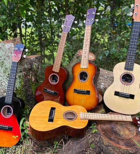 Ukeleles Acusticos Concierto En Cedro Incluye Forro Y Envio