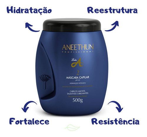 Kit Aneethun Shampoo E Máscara Linha A E Spray Liss System