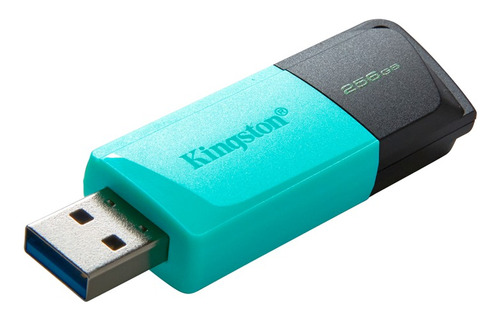 Memoria Usb Kingston 256gb, Data Traveler Turquesa Usb 3.2