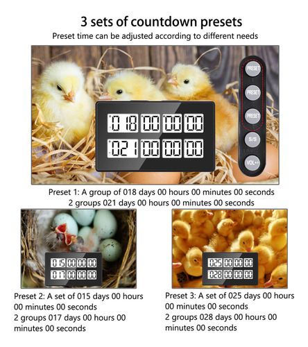 Digital Kitchen Timer, Reg Account Temporizers