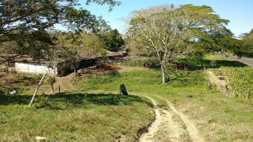 Vendo Rancho Ganadero 223 Hectáreas Temapache Veracruz