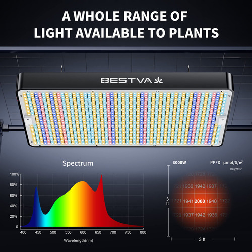 Bestva 3000w Led Grow Light 6x5ft Cobertura Lm301b Diodos 10