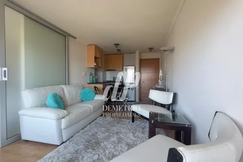 Acogedor Departamento Amoblado A Pasos De Mall Plaza Trébol