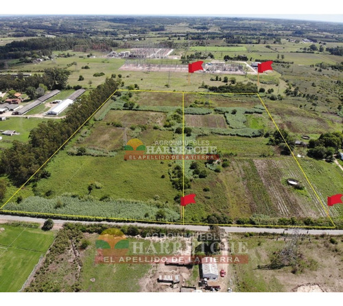 Imagen 2 de 10 de Chacra En Venta 3 Has Ideal Canchas En Osvaldo Rodriguez