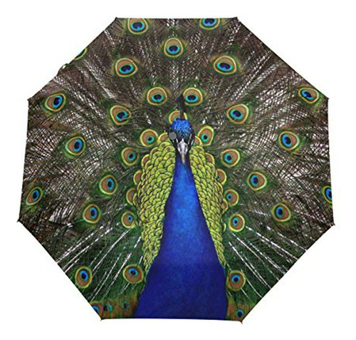 Sombrilla O Paraguas - Wihve Peacock Umbrella Auto Open Clos