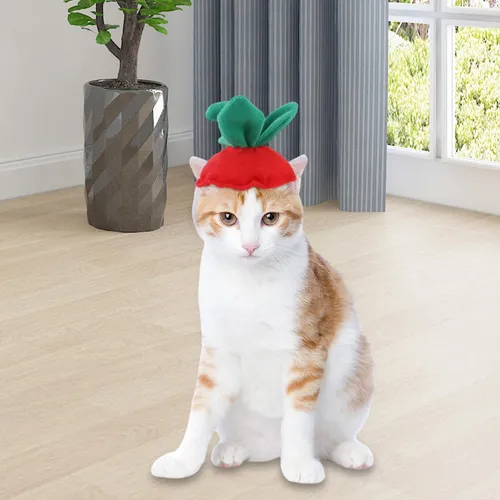 Perro Gato Sombrero Sombrero Traje Sombrero Hojas De Fresa
