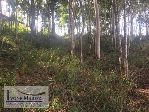 Imagem 1 de 4 de Terreno Em Recanto Dos Eucaliptos - Paty Do Alferes - 2968