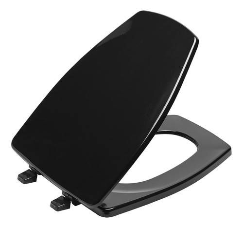 Conjunto De Asiento De Inodoro Moldeado Elongado Rochel...