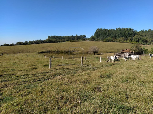 Imagem 8 de 15 de Sitio - Linha Ferreira Pontes - Ref: 31452 - V-31449