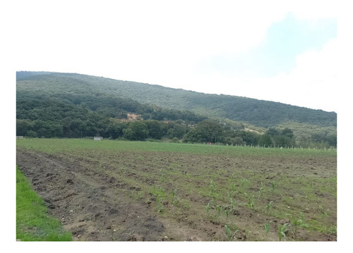 Imagen 8 de 8 de Se Vende Terreno En San Miguel Tepotzotlán