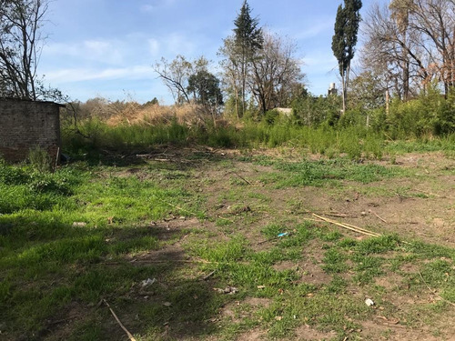 Imagen 10 de 30 de Terreno - Ibarlucea
