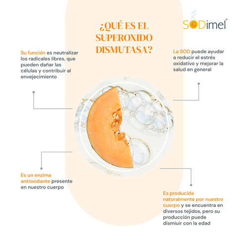 Imagen 3 de 3 de Cápsulas Antioxidantes Sodimel Mejora La Salud De Tu Piel 60