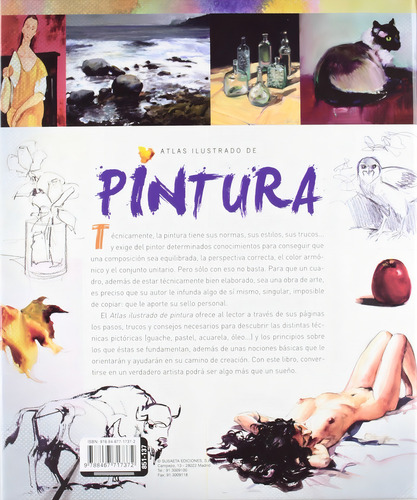 Atlas Ilustrado De Pintura