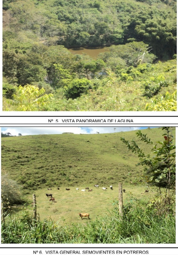 Venta De Finca Ganadera De 1000 Hectareas, Facil Acceso En Nirgua Yaracuy (salom)2