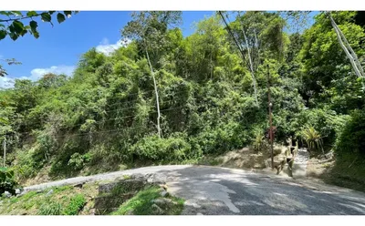 Terreno en venta