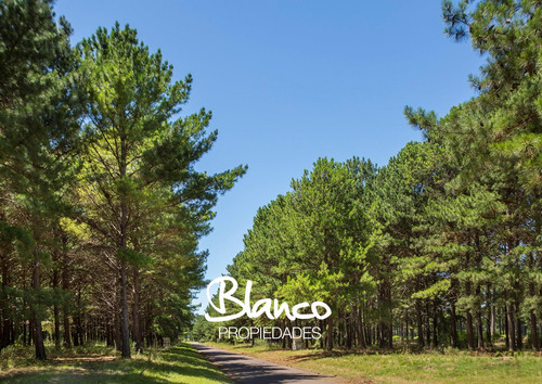 PINARES GOLF & COUNTRY CLUB| LOTES EN EXALTACIÓN DE LA CRUZ!