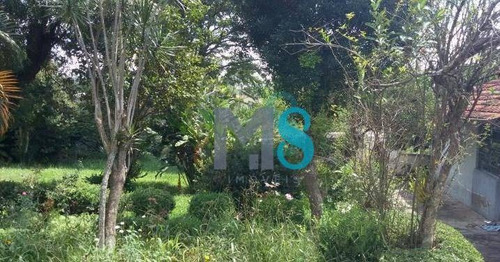 Imagem 3 de 13 de Terreno - Vila Perracini - Te0024