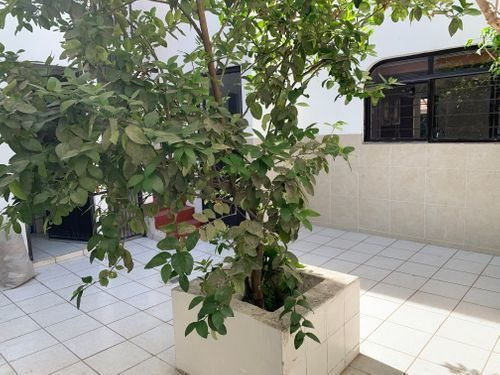 Imagen 18 de 26 de Casa En Venta En Jardines De San José
