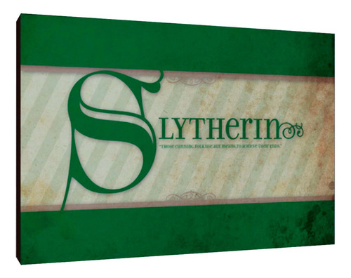 Cuadros Poster Harry Potter Slytherin M 20x29 (dcs (30))