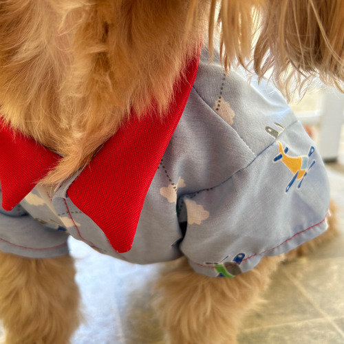 Roupa Pet, Camisa Cachorro E Gato - Roupinha Pet Macho