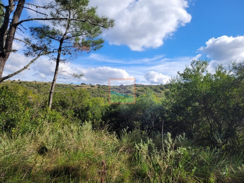 Imagen 14 de 23 de Campo Turístico 38 Hás En Zanja Del Tigre