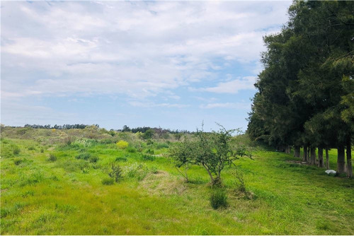 Venta De Campo Melilla , Camino Sere, Zona Chacras