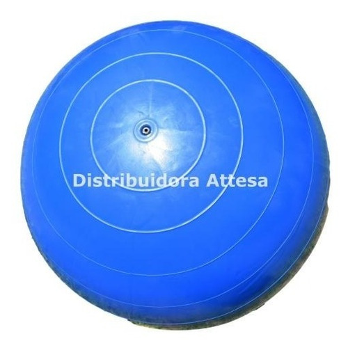 Pelota Esferodinamia Gym Ball 55 Cm 1000 Gramos Pilates Reha