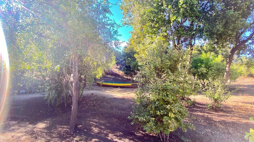 Valle Alegre, Quintero, Casa De 90m2 En Parcela 4ha