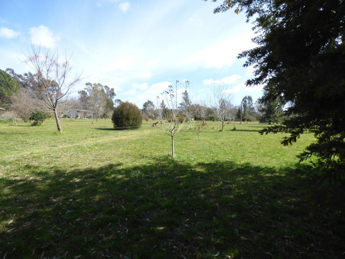 Imagen 6 de 30 de Quinta En Arturo Segui Calle 403 E/ 139 Y 141 La Catalina Dacal Bienes Raices