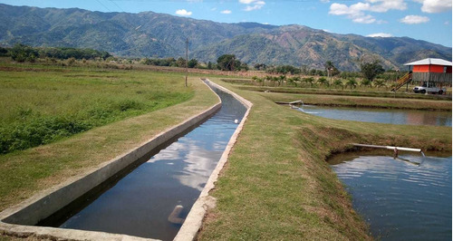 Te Vendo Excelente Finca En Bonao