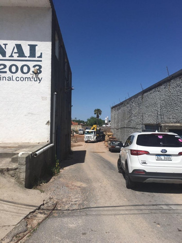 Imagen 5 de 6 de Local En Venta En Malvin (ref: Vld-3051)