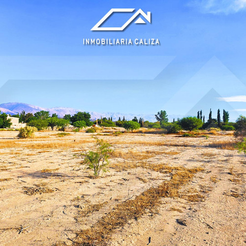 Finca Terreno Loro Huasi - Santa Maria - Catamarca