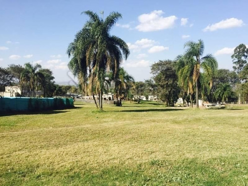 Imagen 2 de 6 de Lote | Yerba Buena